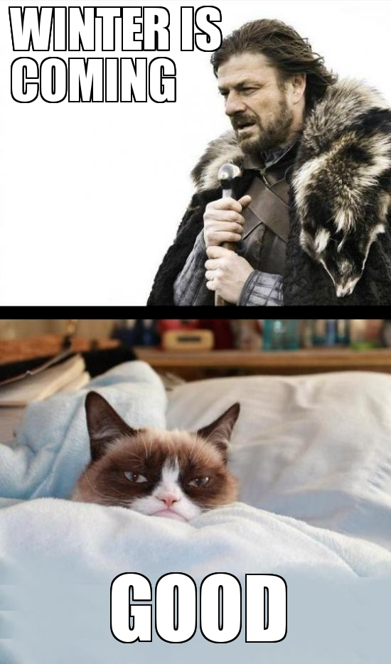 Come meme. Winter is coming Мем. Зима близко Мем. Grumpy Cat зимой. Session is coming Мем.